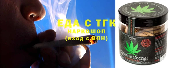 стаф Ельня