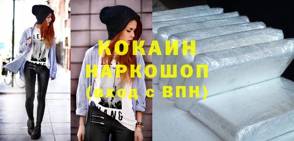 стаф Ельня