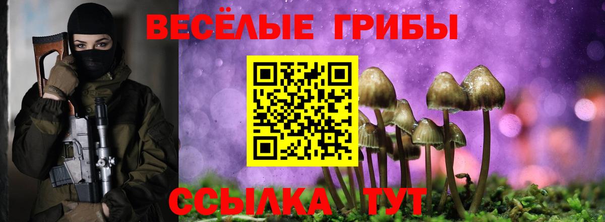Псилоцибиновые грибы мицелий  Вход с VPN  Россия 